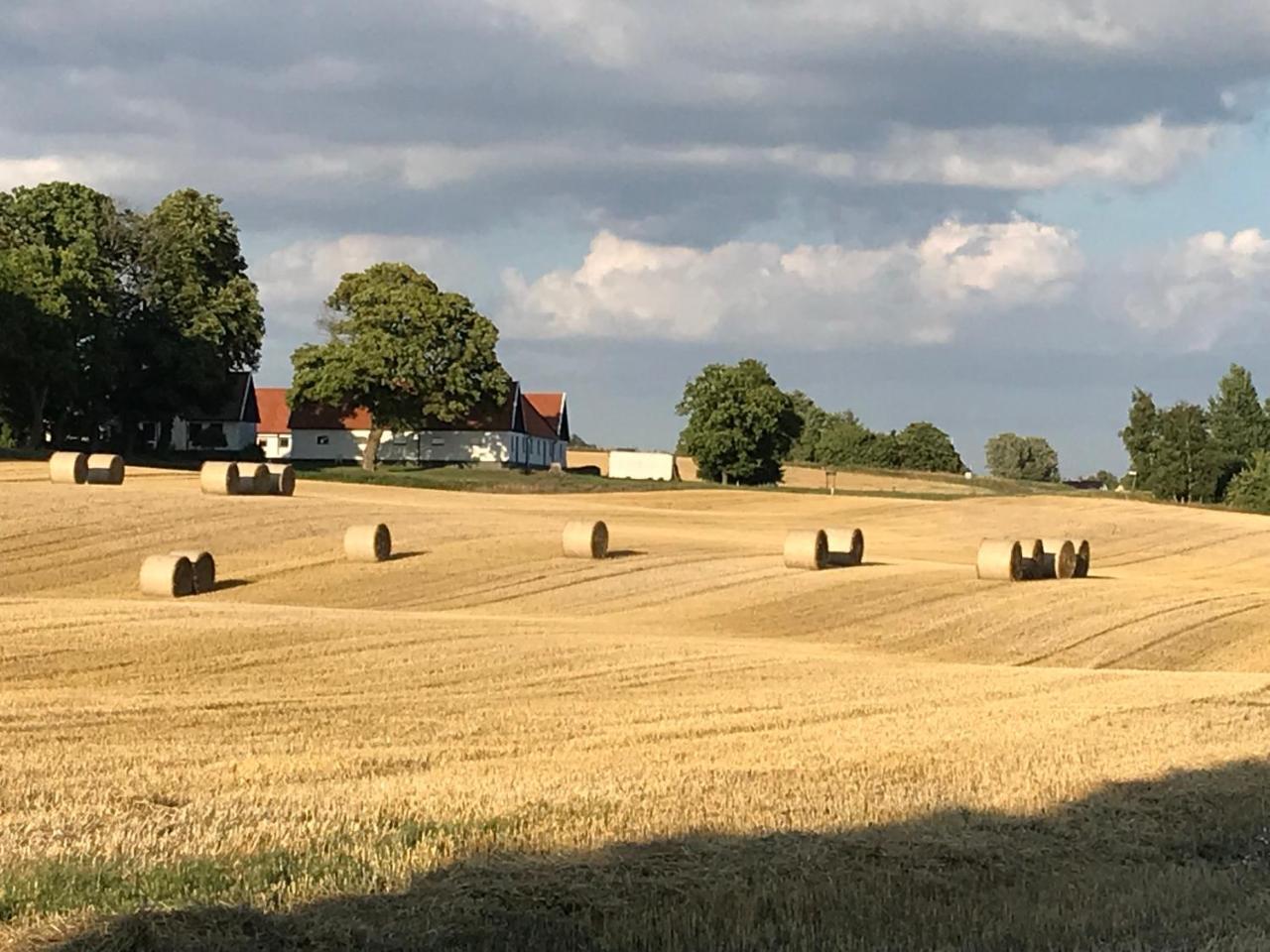 Karlsborg Rum Och Frukost Ystad Buitenkant foto